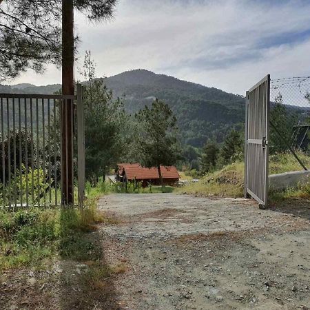 The Cosy Mountain Cabin With Stunning Views Near Troodos Kato Amiandos Eksteriør bilde