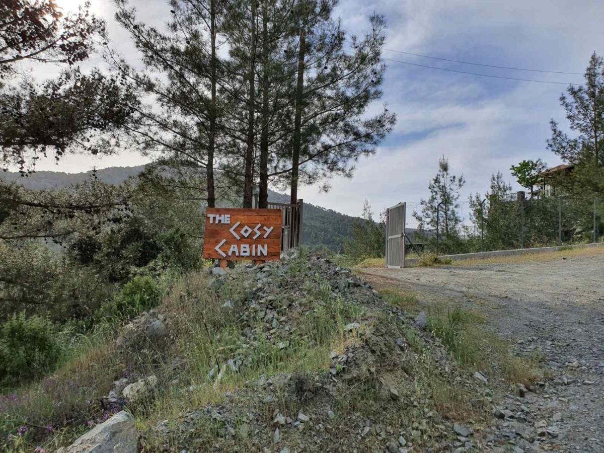 The Cosy Mountain Cabin With Stunning Views Near Troodos Kato Amiandos Eksteriør bilde