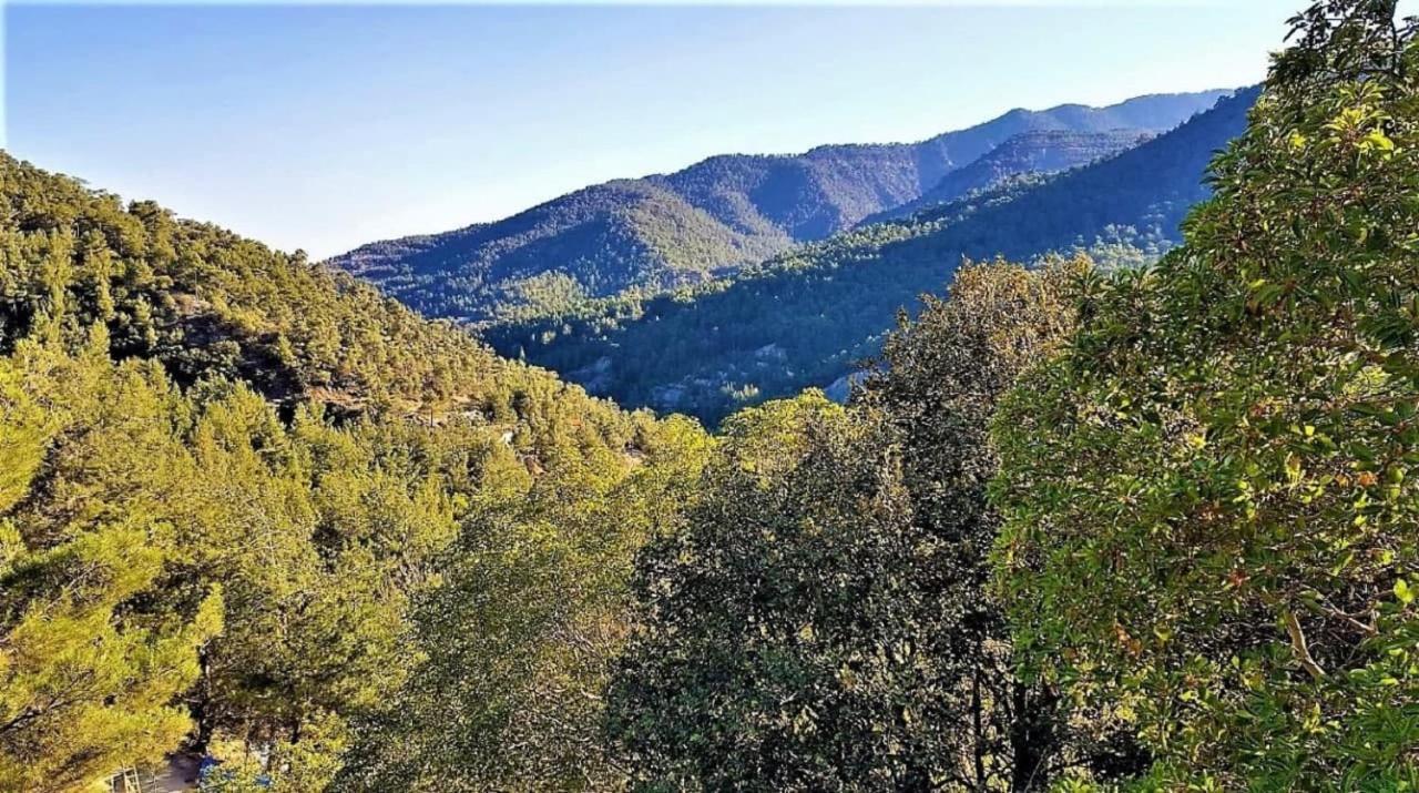 The Cosy Mountain Cabin With Stunning Views Near Troodos Kato Amiandos Eksteriør bilde