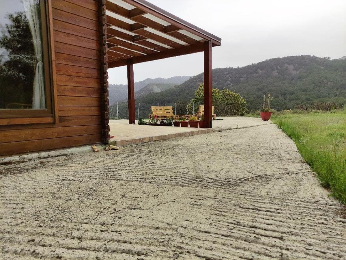 The Cosy Mountain Cabin With Stunning Views Near Troodos Kato Amiandos Eksteriør bilde